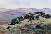 Bell Tor, Dartmoor by Christopher Droop