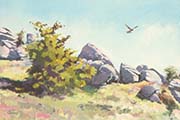 Hunting, Hunters Tor, Dartmoor by Christopher Droop